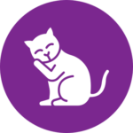Icono_gato